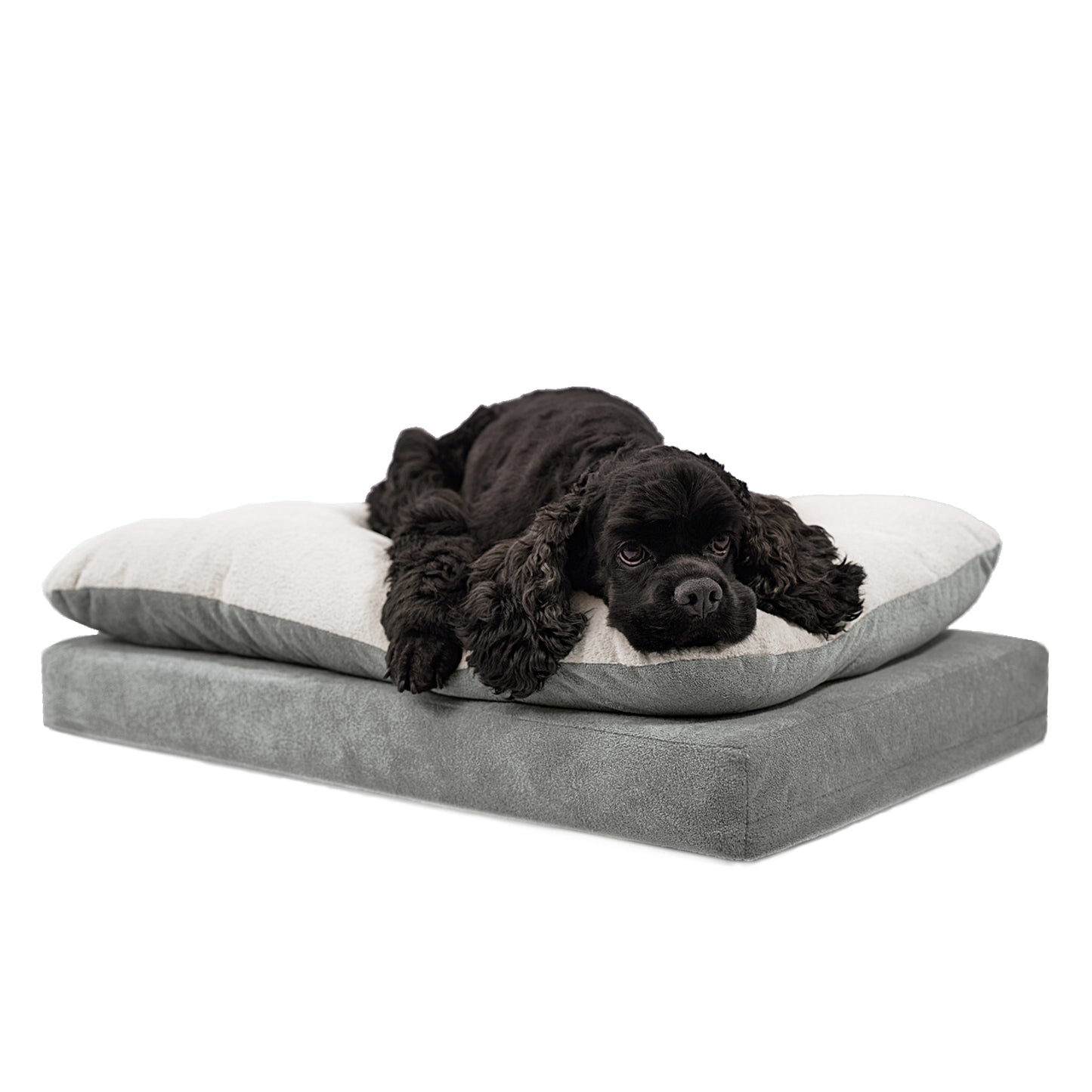 Mousse Cake Orthopedic Dog Bed - Haze Gray