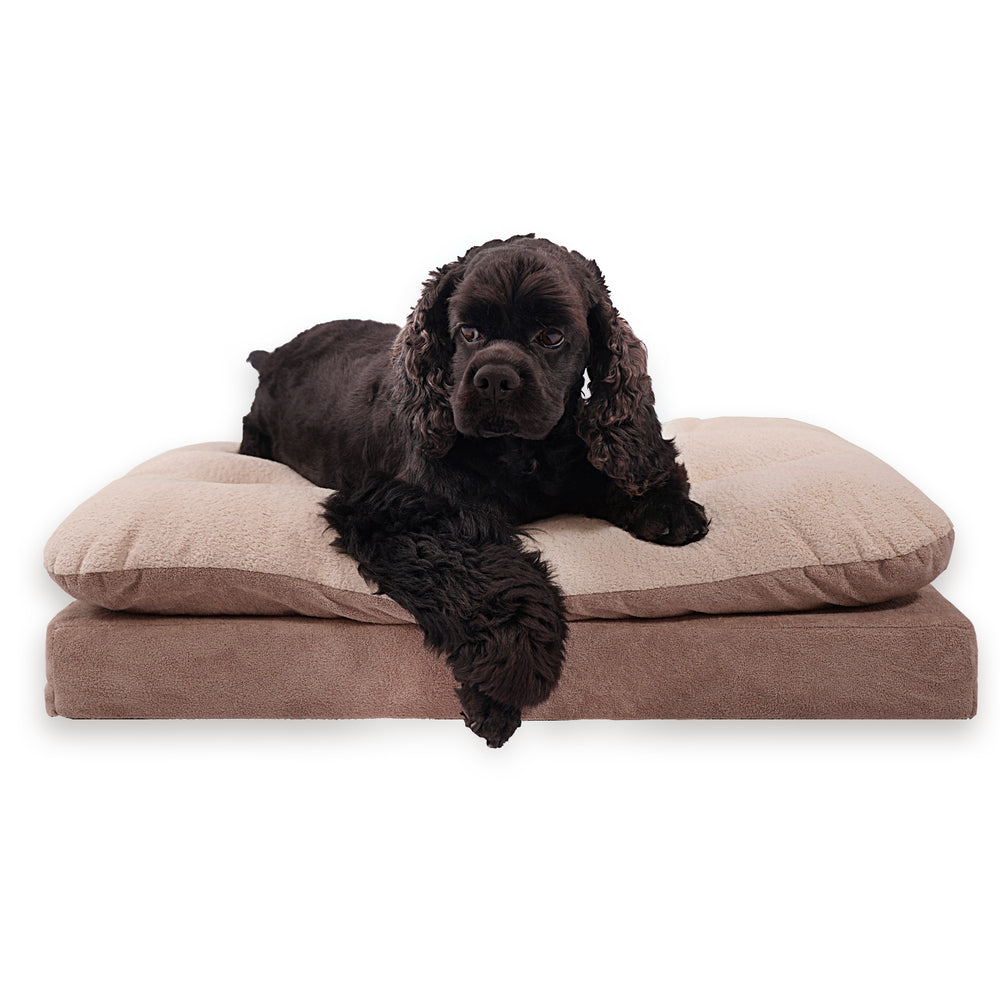 
                      
                        Mousse Cake Orthopedic Dog Bed - Brown
                      
                    