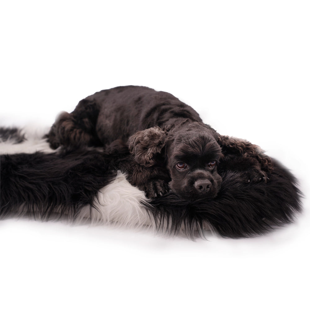 
                      
                        Faux Fur Panda-shaped Dog Bed
                      
                    