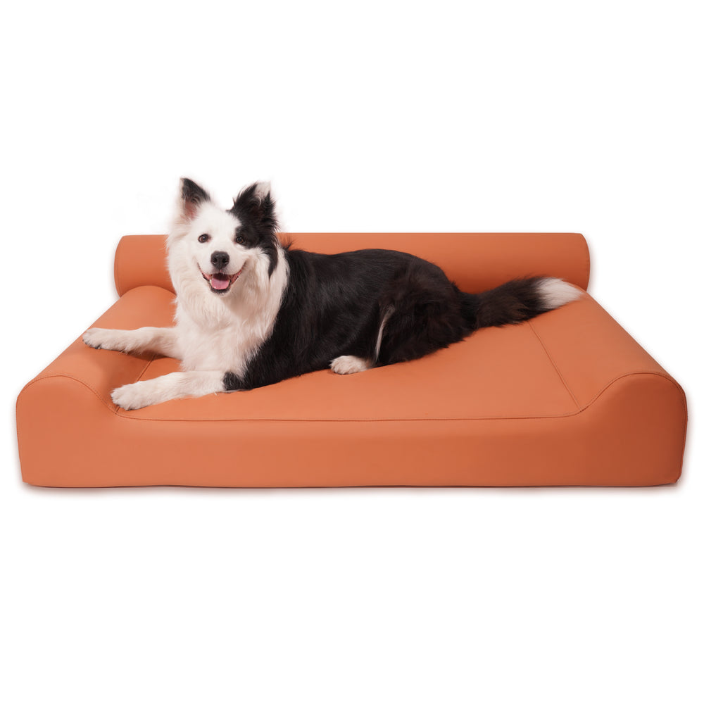 
                      
                        Invictus Leather Dog Bed - Orange
                      
                    