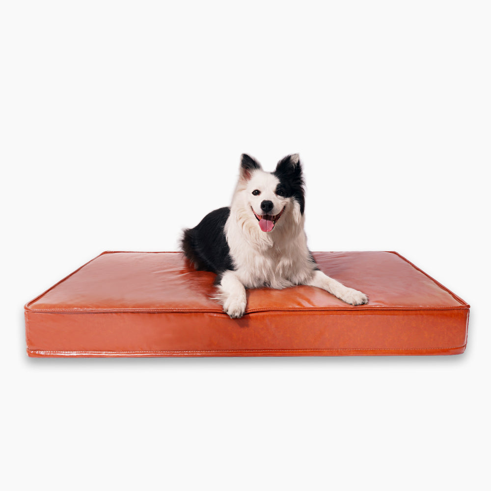 
                      
                        Oil-Waxed Leather Dog Bed
                      
                    