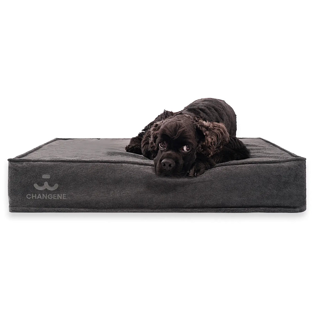 Changene Microplush Waterproof Dog Bed