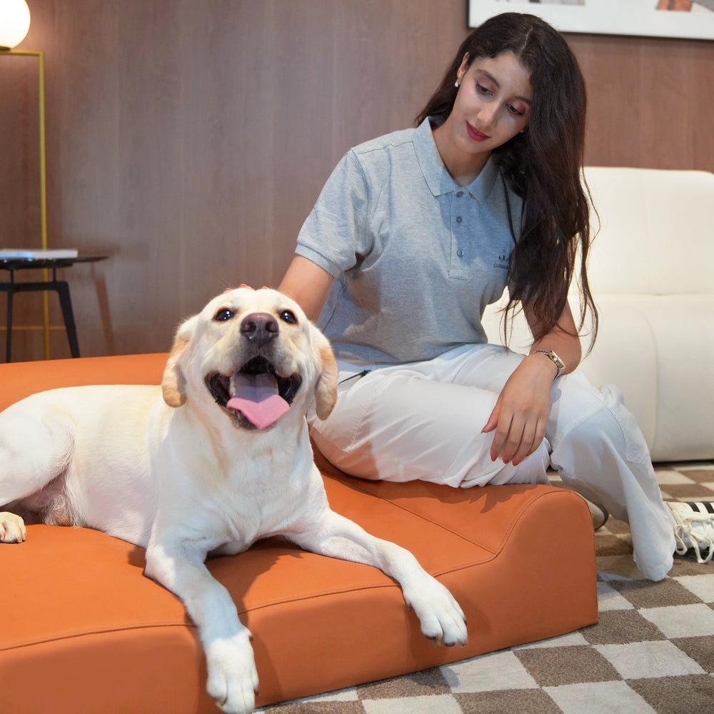 Invictus Leather Dog Bed - Orange