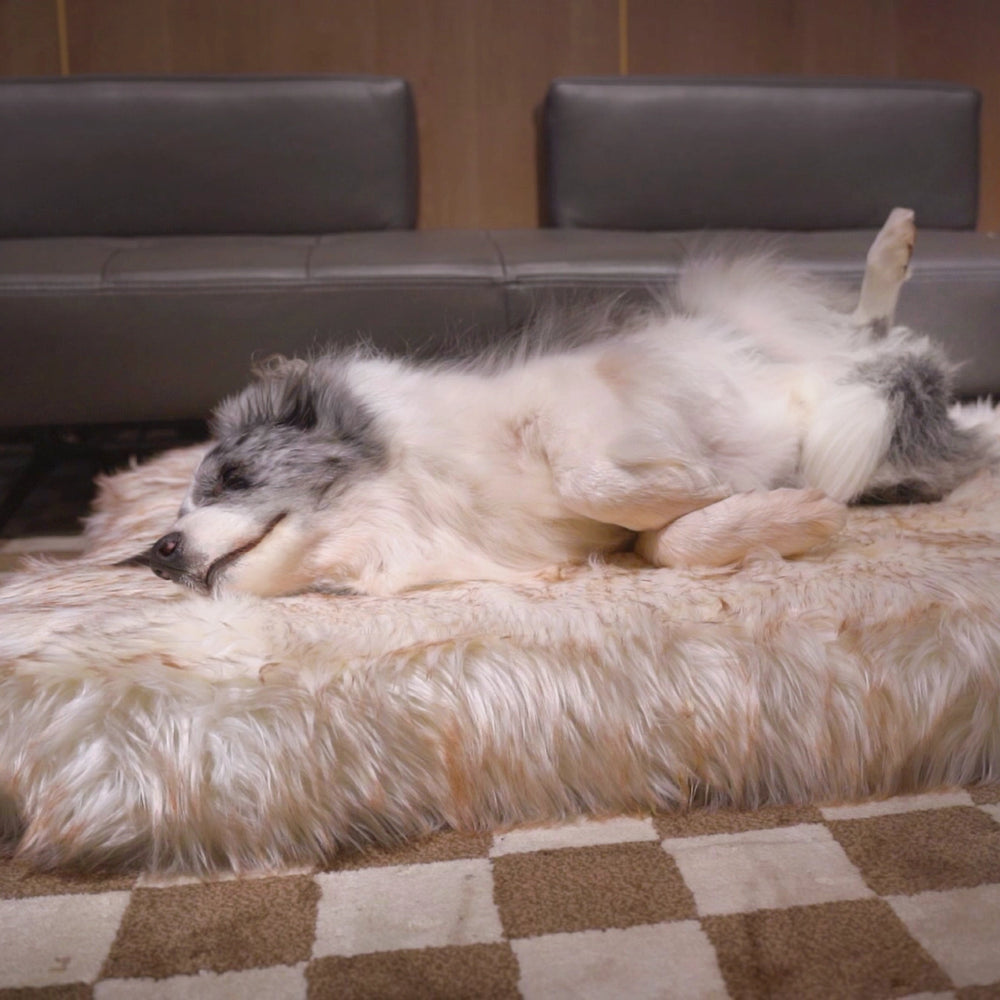 Faux Fur Orthopedic Dog Bed / Rug- Bone Shaped