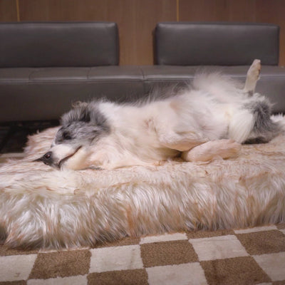 Faux Fur Orthopedic Dog Bed / Rug- Bone Shaped