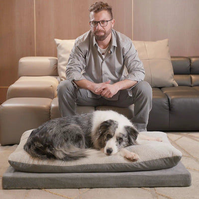 Mousse Cake Orthopedic Dog Bed - Haze Gray