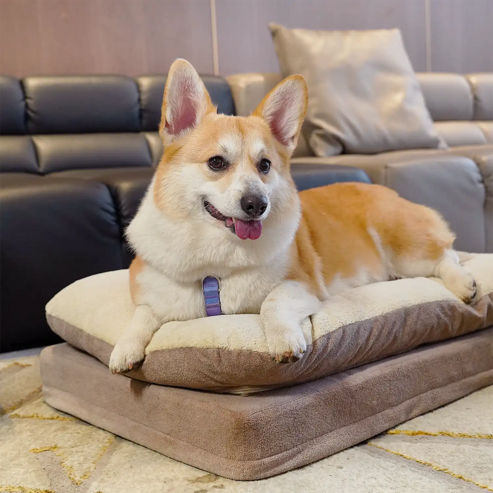 Mousse Cake Orthopedic Dog Bed - Brown