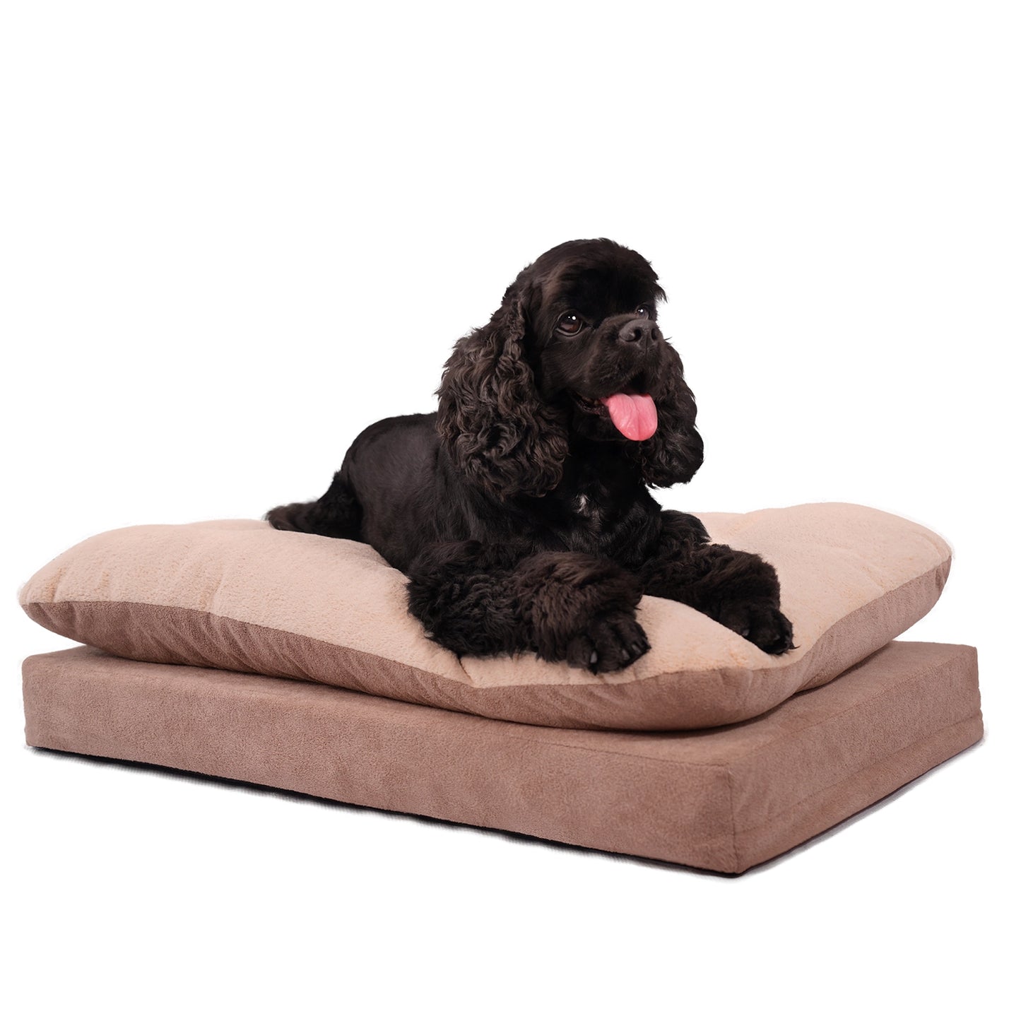 Mousse Cake Orthopedic Dog Bed - Brown