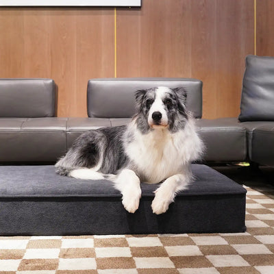 Changene Microplush Waterproof Orthopedic Dog Bed - Dark Gray
